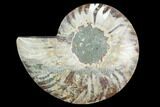 Agatized Ammonite Fossil (Half) - Madagascar #125053-1